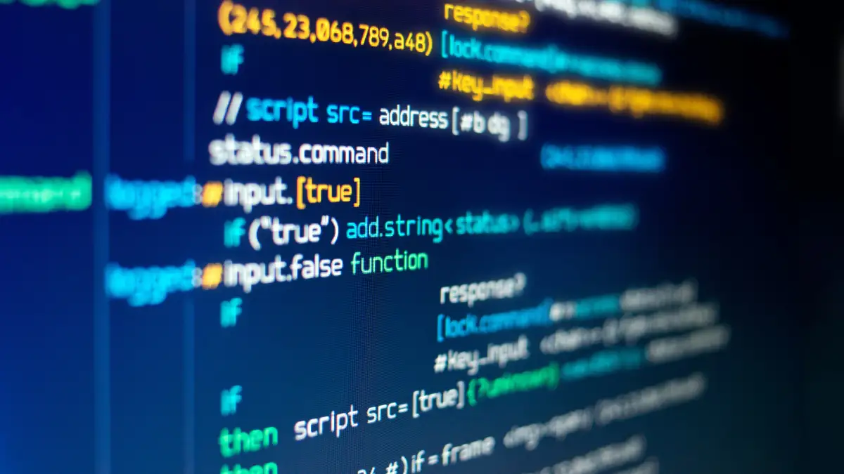 input-true-code